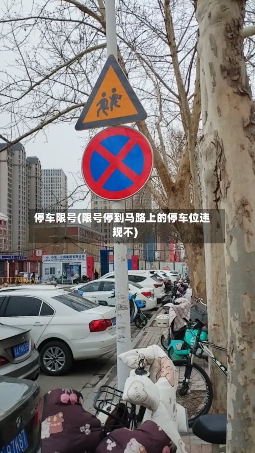 停车限号(限号停到马路上的停车位违规不)-第2张图片