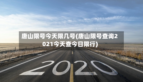 唐山限号今天限几号(唐山限号查询2021今天查今日限行)