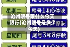 沧州限号限什么今天限行(沧州限号是多少今天)