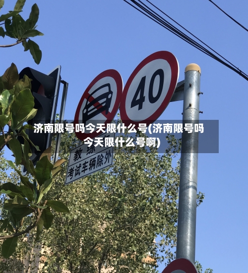 济南限号吗今天限什么号(济南限号吗今天限什么号啊)-第2张图片