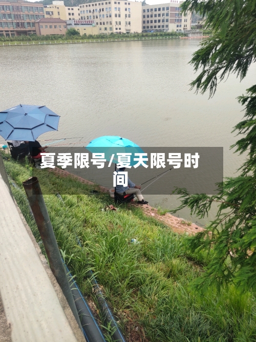 夏季限号/夏天限号时间-第3张图片