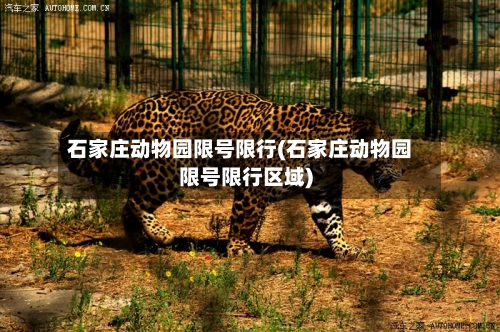 石家庄动物园限号限行(石家庄动物园限号限行区域)