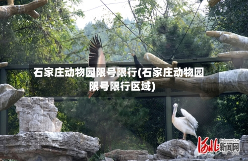 石家庄动物园限号限行(石家庄动物园限号限行区域)-第3张图片