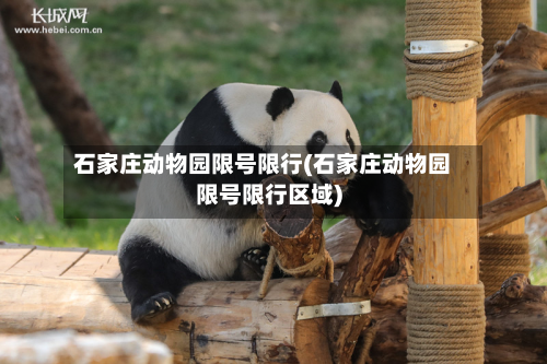 石家庄动物园限号限行(石家庄动物园限号限行区域)-第2张图片