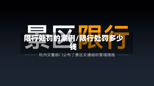 限行处罚的案例/限行处罚多少钱-第2张图片