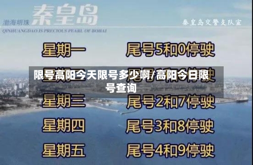 限号高阳今天限号多少啊/高阳今日限号查询-第2张图片