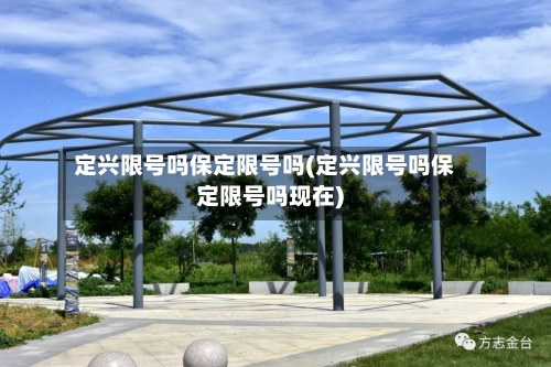 定兴限号吗保定限号吗(定兴限号吗保定限号吗现在)-第3张图片