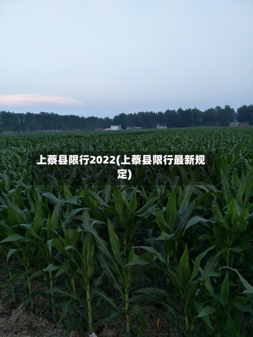 上蔡县限行2022(上蔡县限行最新规定)-第3张图片