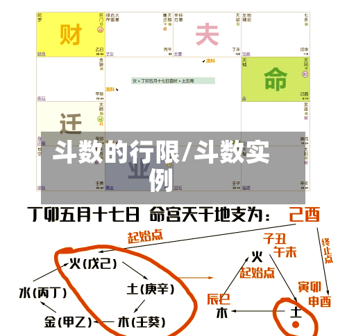 斗数的行限/斗数实例