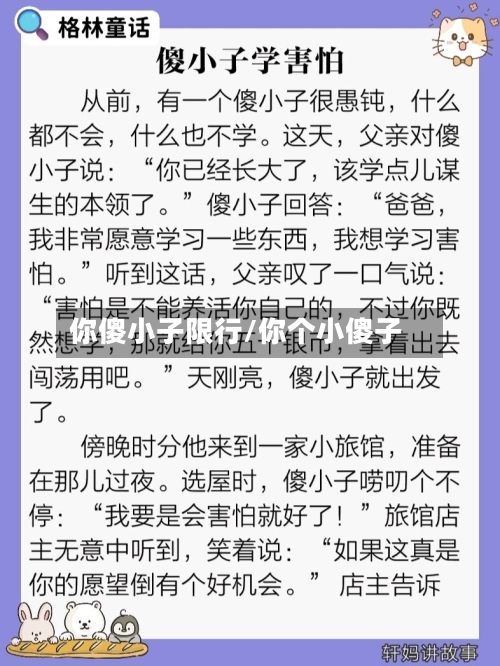 你傻小子限行/你个小傻子