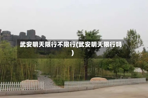 武安明天限行不限行(武安明天限行吗)-第3张图片