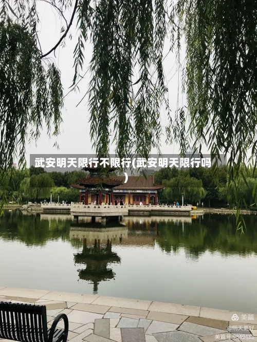 武安明天限行不限行(武安明天限行吗)