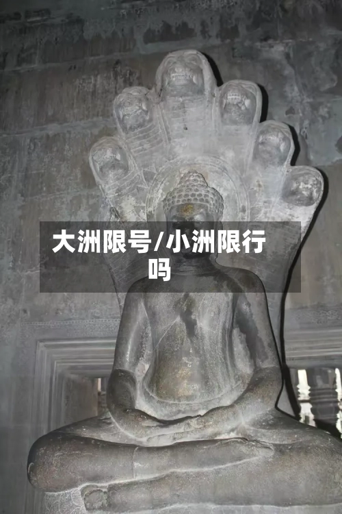 大洲限号/小洲限行吗-第3张图片