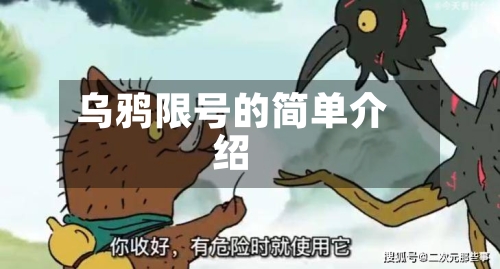乌鸦限号的简单介绍-第3张图片