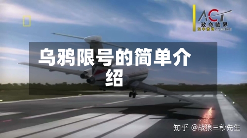 乌鸦限号的简单介绍