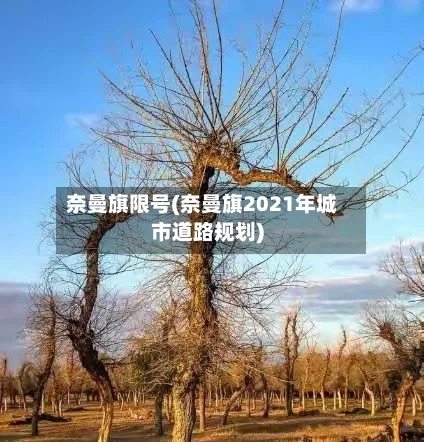 奈曼旗限号(奈曼旗2021年城市道路规划)-第2张图片