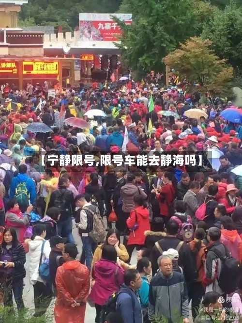 【宁静限号,限号车能去静海吗】-第2张图片