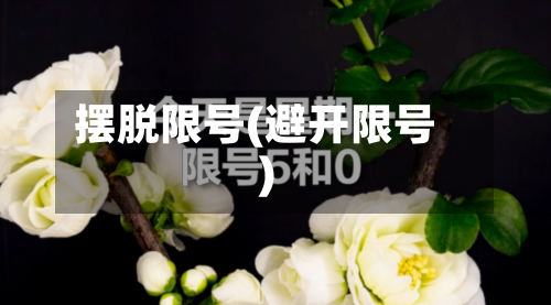 摆脱限号(避开限号)