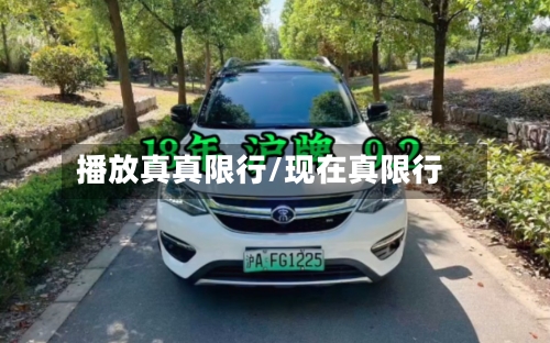 播放真真限行/现在真限行