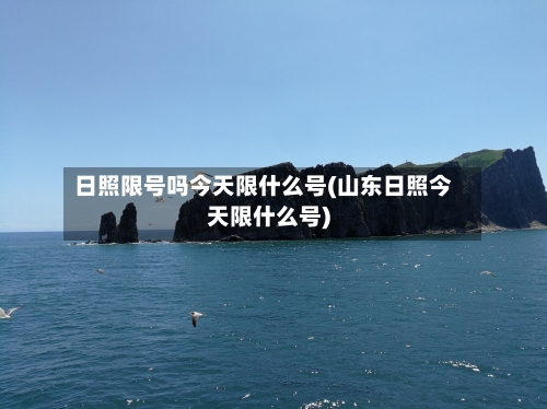 日照限号吗今天限什么号(山东日照今天限什么号)-第2张图片