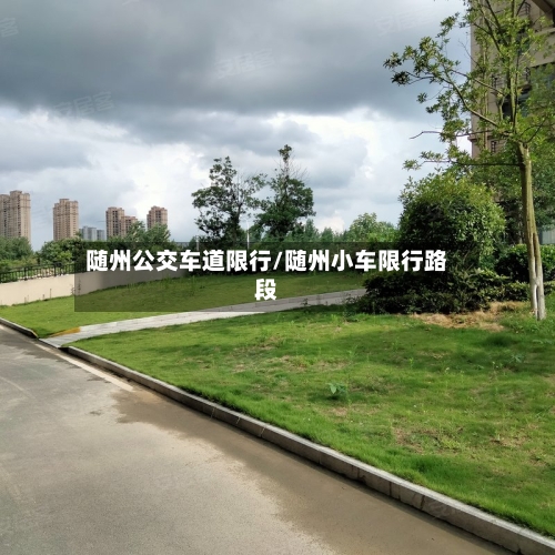 随州公交车道限行/随州小车限行路段