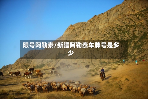 限号阿勒泰/新疆阿勒泰车牌号是多少-第3张图片