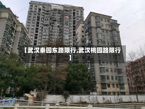【武汉秦园东路限行,武汉桃园路限行】