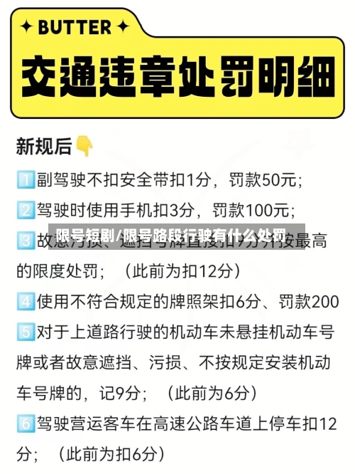 限号短剧/限号路段行驶有什么处罚-第2张图片