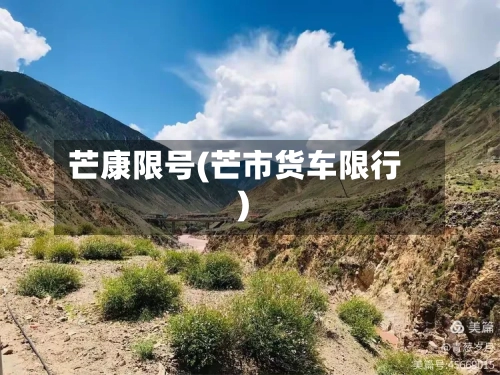 芒康限号(芒市货车限行)-第2张图片