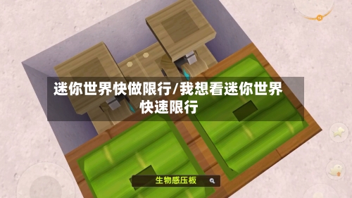 迷你世界快做限行/我想看迷你世界快速限行