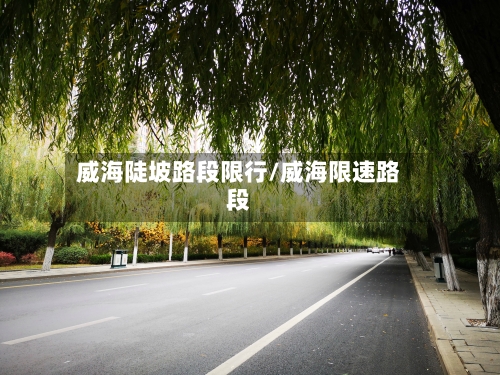 威海陡坡路段限行/威海限速路段