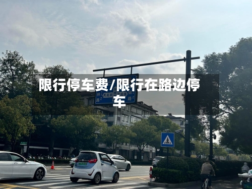 限行停车费/限行在路边停车