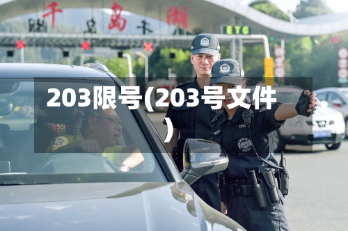 203限号(203号文件)-第3张图片