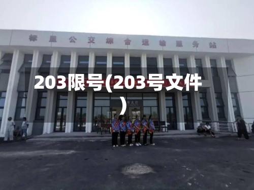 203限号(203号文件)