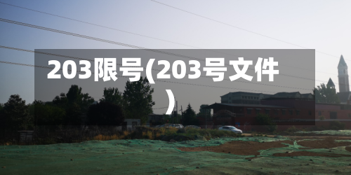 203限号(203号文件)-第2张图片