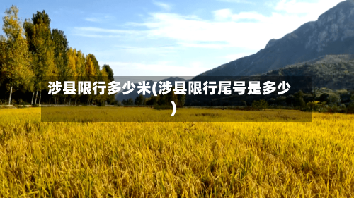 涉县限行多少米(涉县限行尾号是多少)