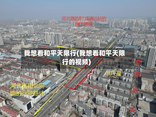 我想看和平天限行(我想看和平天限行的视频)