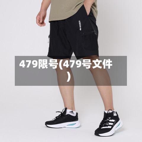 479限号(479号文件)