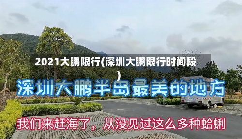 2021大鹏限行(深圳大鹏限行时间段)