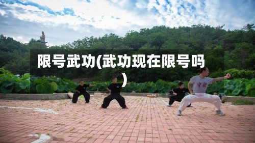 限号武功(武功现在限号吗)