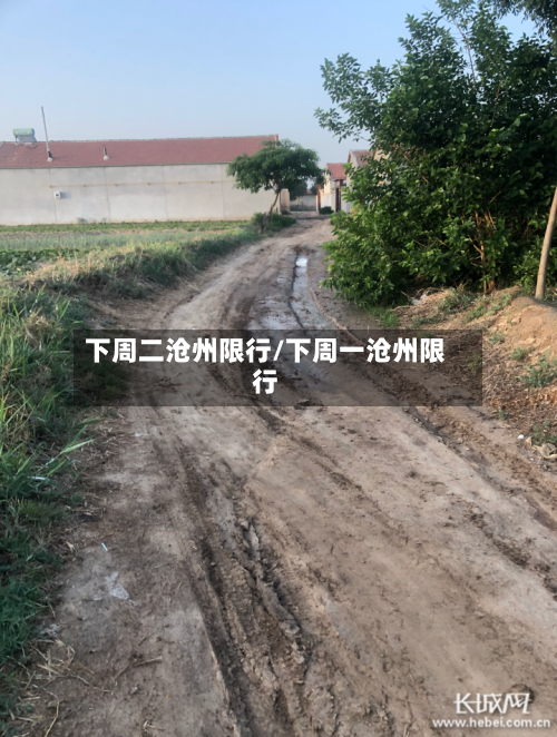 下周二沧州限行/下周一沧州限行-第3张图片