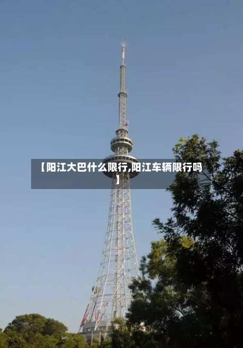 【阳江大巴什么限行,阳江车辆限行吗】-第2张图片