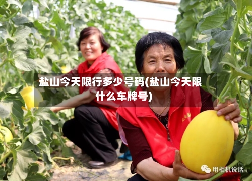 盐山今天限行多少号码(盐山今天限什么车牌号)-第2张图片