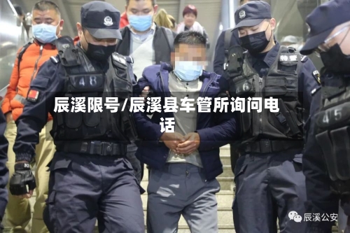 辰溪限号/辰溪县车管所询问电话