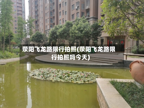 荥阳飞龙路限行拍照(荥阳飞龙路限行拍照吗今天)-第2张图片