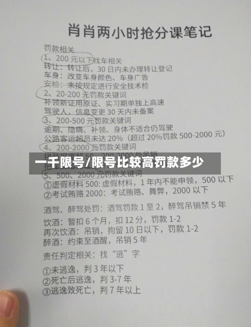 一千限号/限号比较高罚款多少-第2张图片