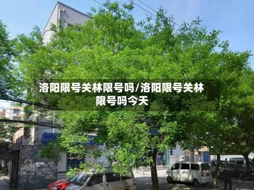洛阳限号关林限号吗/洛阳限号关林限号吗今天-第3张图片