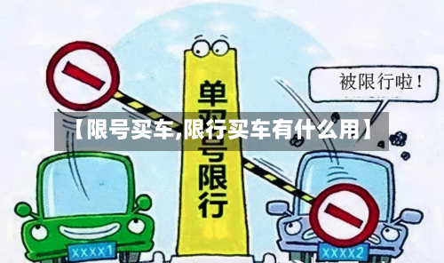 【限号买车,限行买车有什么用】-第3张图片