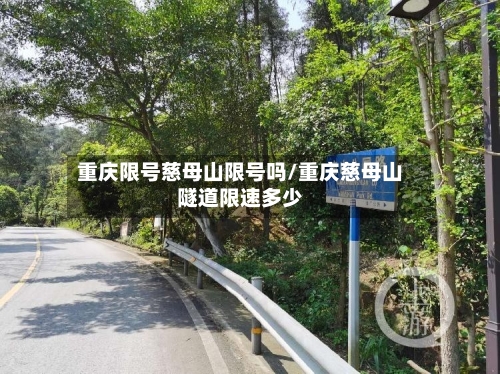 重庆限号慈母山限号吗/重庆慈母山隧道限速多少-第3张图片