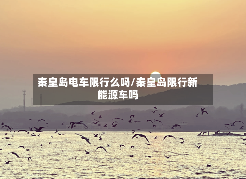 秦皇岛电车限行么吗/秦皇岛限行新能源车吗-第3张图片